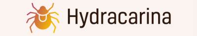 Hydracarina